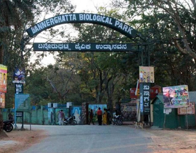 bannerigatta call girls